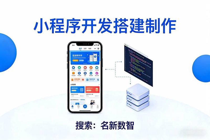 湖北网站开发